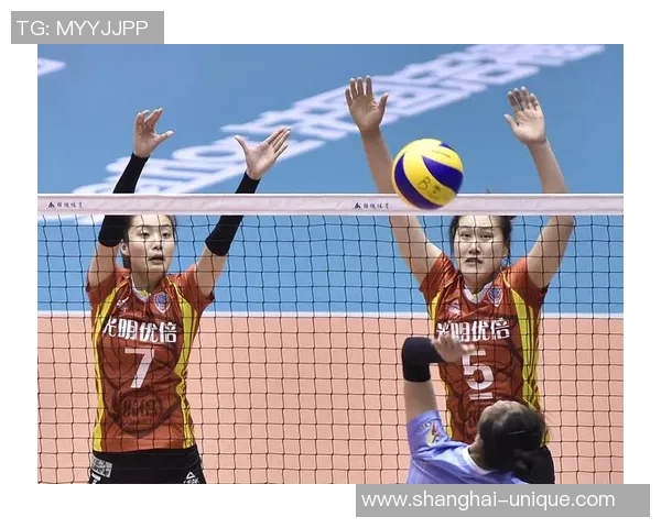 上海排球队技术争议引发热议球迷与专家各抒己见探讨战术与表现