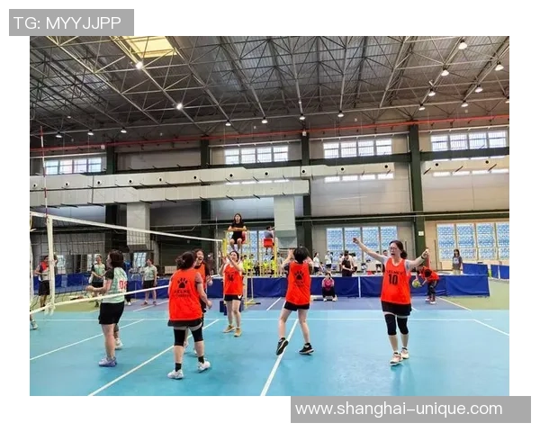 上海排球队的战术转型与深度解析探索排球运动的未来发展之路